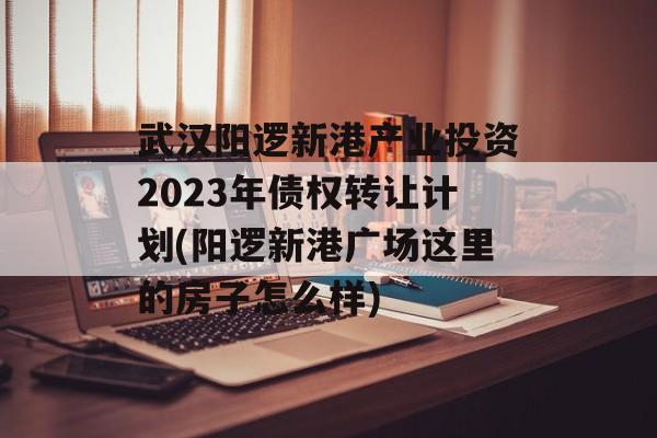 武汉阳逻新港产业投资2023年债权转让计划(阳逻新港广场这里的房子怎么样)