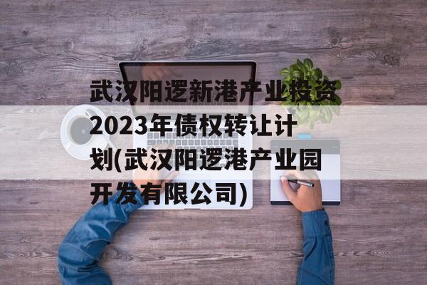 武汉阳逻新港产业投资2023年债权转让计划(武汉阳逻港产业园开发有限公司)