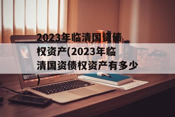 2023年临清国资债权资产(2023年临清国资债权资产有多少)