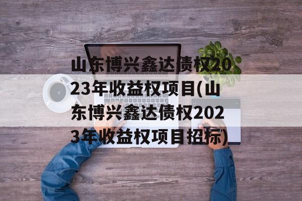 山东博兴鑫达债权2023年收益权项目(山东博兴鑫达债权2023年收益权项目招标)