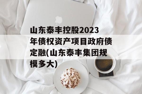 山东泰丰控股2023年债权资产项目政府债定融(山东泰丰集团规模多大)