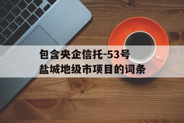 包含央企信托-53号盐城地级市项目的词条