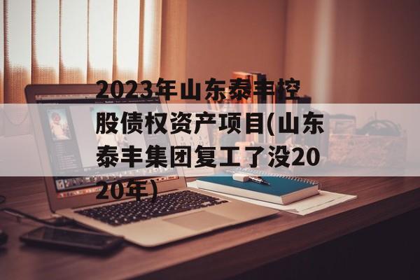 2023年山东泰丰控股债权资产项目(山东泰丰集团复工了没2020年)