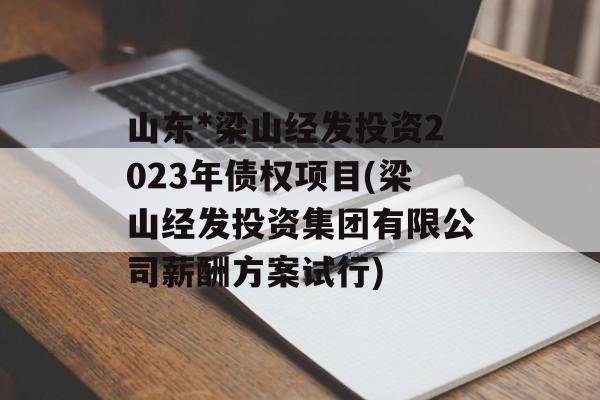 山东*梁山经发投资2023年债权项目(梁山经发投资集团有限公司薪酬方案试行)