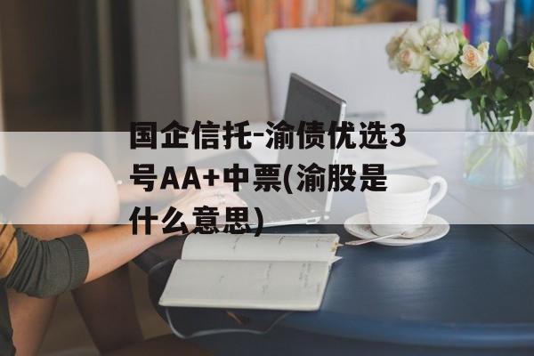 国企信托-渝债优选3号AA+中票(渝股是什么意思)