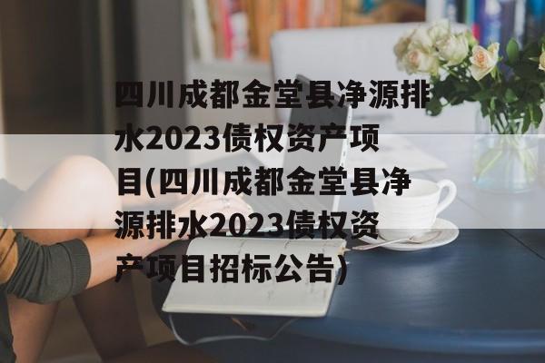 四川成都金堂县净源排水2023债权资产项目(四川成都金堂县净源排水2023债权资产项目招标公告)