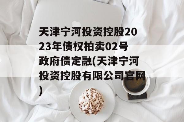 天津宁河投资控股2023年债权拍卖02号政府债定融(天津宁河投资控股有限公司官网)