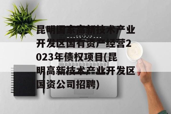 昆明国家高新技术产业开发区国有资产经营2023年债权项目(昆明高新技术产业开发区国资公司招聘)