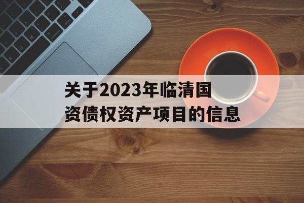 关于2023年临清国资债权资产项目的信息