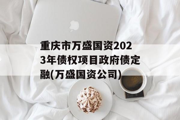 重庆市万盛国资2023年债权项目政府债定融(万盛国资公司)