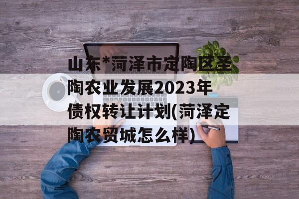 山东*菏泽市定陶区圣陶农业发展2023年债权转让计划(菏泽定陶农贸城怎么样)