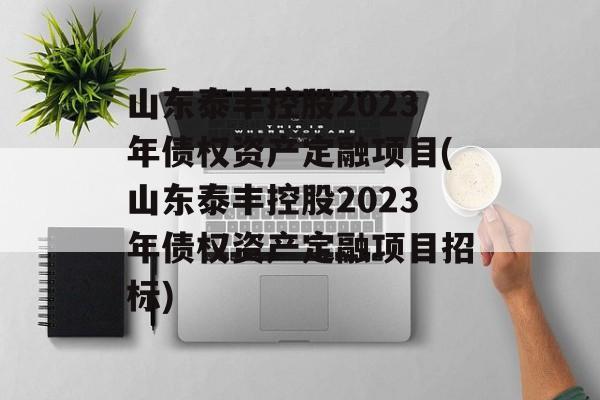 山东泰丰控股2023年债权资产定融项目(山东泰丰控股2023年债权资产定融项目招标)