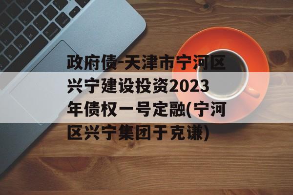 政府债-天津市宁河区兴宁建设投资2023年债权一号定融(宁河区兴宁集团于克谦)