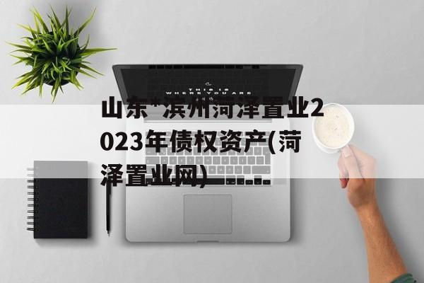 山东*滨州菏泽置业2023年债权资产(菏泽置业网)