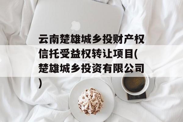 云南楚雄城乡投财产权信托受益权转让项目(楚雄城乡投资有限公司)