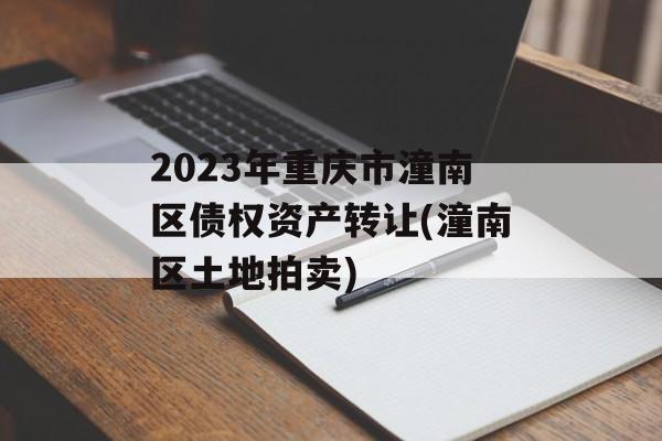 2023年重庆市潼南区债权资产转让(潼南区土地拍卖)