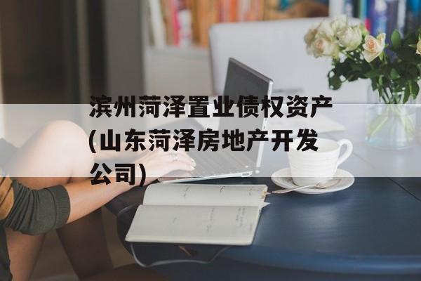 滨州菏泽置业债权资产(山东菏泽房地产开发公司)