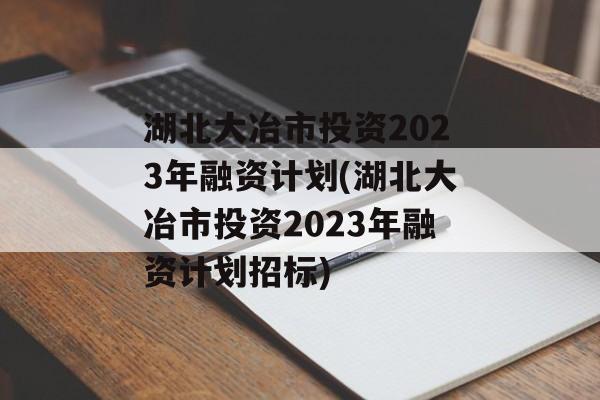 湖北大冶市投资2023年融资计划(湖北大冶市投资2023年融资计划招标)