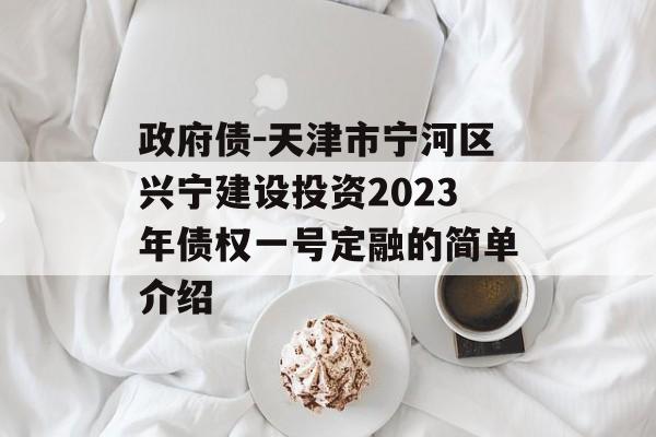 政府债-天津市宁河区兴宁建设投资2023年债权一号定融的简单介绍