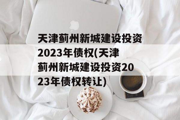 天津蓟州新城建设投资2023年债权(天津蓟州新城建设投资2023年债权转让)