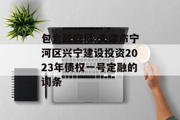 包含政府债-天津市宁河区兴宁建设投资2023年债权一号定融的词条