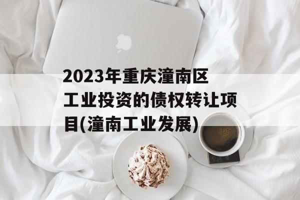 2023年重庆潼南区工业投资的债权转让项目(潼南工业发展)