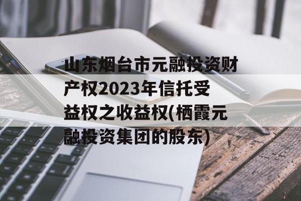 山东烟台市元融投资财产权2023年信托受益权之收益权(栖霞元融投资集团的股东)