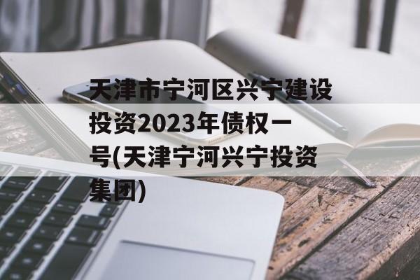 天津市宁河区兴宁建设投资2023年债权一号(天津宁河兴宁投资集团)