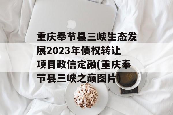 重庆奉节县三峡生态发展2023年债权转让项目政信定融(重庆奉节县三峡之巅图片)