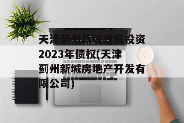 天津蓟州新城建设投资2023年债权(天津蓟州新城房地产开发有限公司)