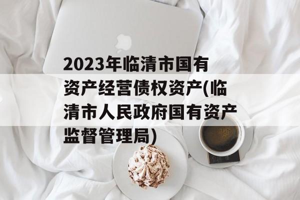 2023年临清市国有资产经营债权资产(临清市人民政府国有资产监督管理局)