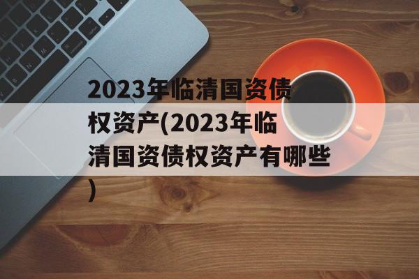 2023年临清国资债权资产(2023年临清国资债权资产有哪些)