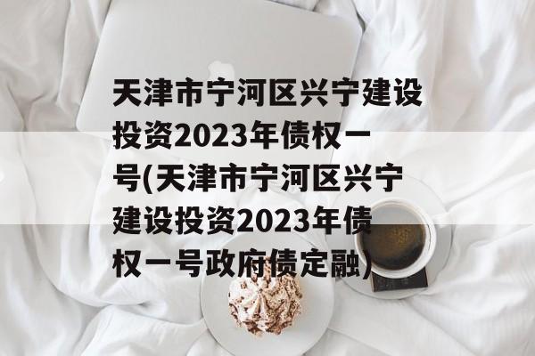 天津市宁河区兴宁建设投资2023年债权一号(天津市宁河区兴宁建设投资2023年债权一号政府债定融)