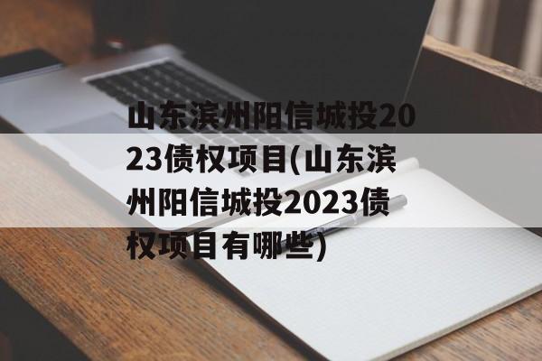 山东滨州阳信城投2023债权项目(山东滨州阳信城投2023债权项目有哪些)