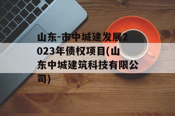 山东-市中城建发展2023年债权项目(山东中城建筑科技有限公司)