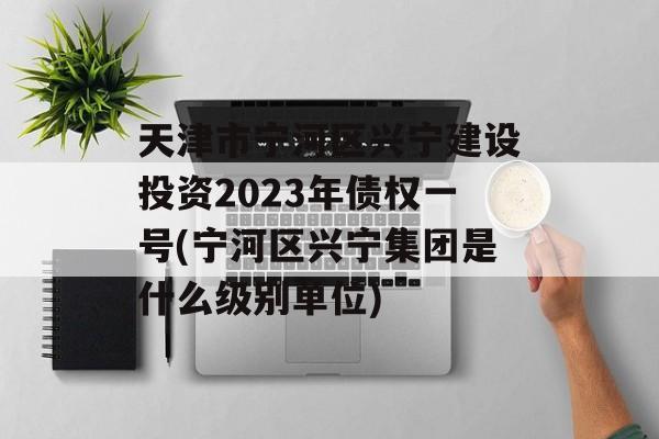 天津市宁河区兴宁建设投资2023年债权一号(宁河区兴宁集团是什么级别单位)