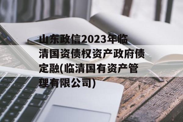 山东政信2023年临清国资债权资产政府债定融(临清国有资产管理有限公司)