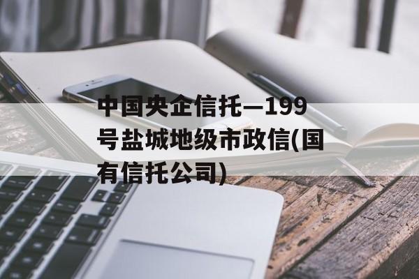 中国央企信托—199号盐城地级市政信(国有信托公司)