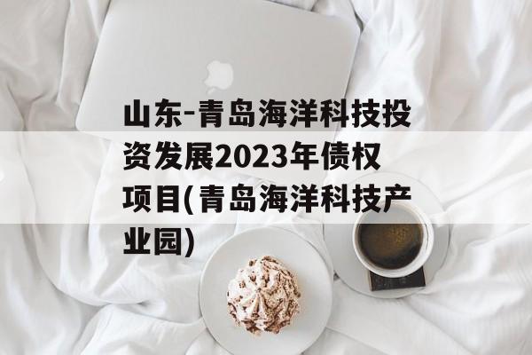 山东-青岛海洋科技投资发展2023年债权项目(青岛海洋科技产业园)