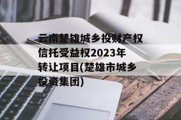 云南楚雄城乡投财产权信托受益权2023年转让项目(楚雄市城乡投资集团)