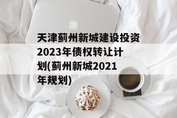 天津蓟州新城建设投资2023年债权转让计划(蓟州新城2021年规划)