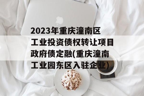 2023年重庆潼南区工业投资债权转让项目政府债定融(重庆潼南工业园东区入驻企业)