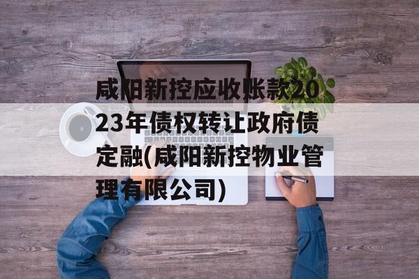 咸阳新控应收账款2023年债权转让政府债定融(咸阳新控物业管理有限公司)