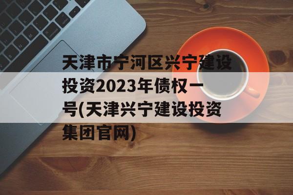 天津市宁河区兴宁建设投资2023年债权一号(天津兴宁建设投资集团官网)