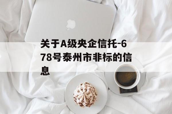 关于A级央企信托-678号泰州市非标的信息