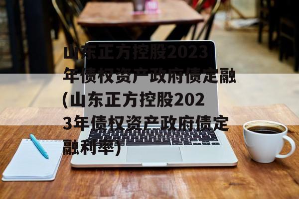 山东正方控股2023年债权资产政府债定融(山东正方控股2023年债权资产政府债定融利率)