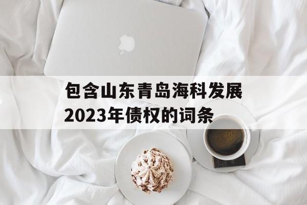 包含山东青岛海科发展2023年债权的词条