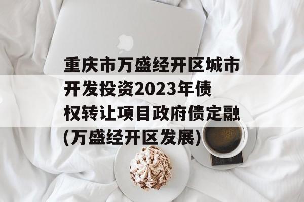 重庆市万盛经开区城市开发投资2023年债权转让项目政府债定融(万盛经开区发展)