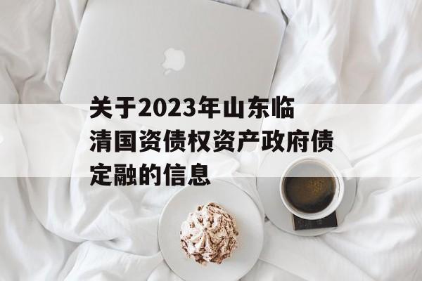 关于2023年山东临清国资债权资产政府债定融的信息