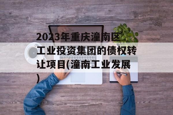 2023年重庆潼南区工业投资集团的债权转让项目(潼南工业发展)